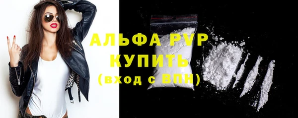хмурый Нефтекумск
