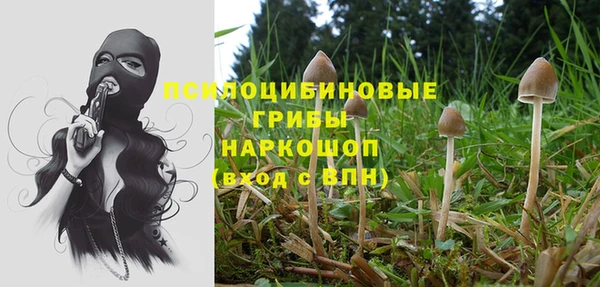 хмурый Нефтекумск