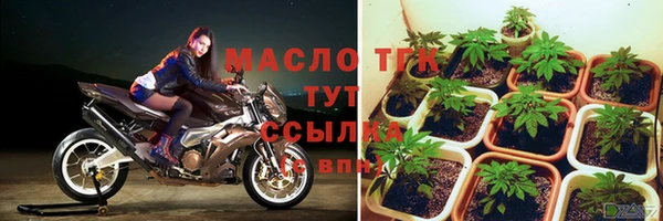 хмурый Нефтекумск