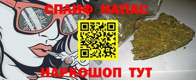 индика Аргун