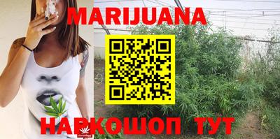 индика Аргун