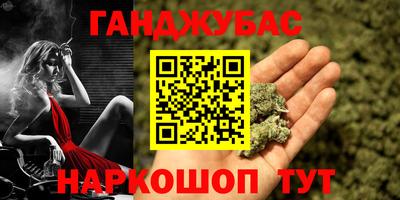 индика Аргун