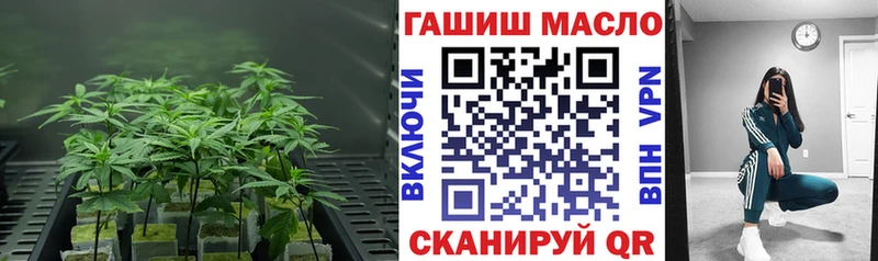 наркота  Димитровград  ТГК THC oil 