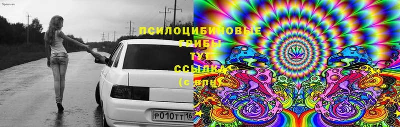 Галлюциногенные грибы Cubensis  что такое наркотик  Димитровград 