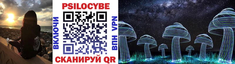 OMG ТОР сколько стоит Димитровград Псилоцибиновые грибы Psilocybine cubensis