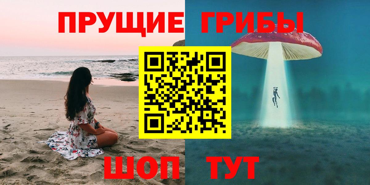 даркнет сайт  Димитровград  Псилоцибиновые грибы MAGIC MUSHROOMS 